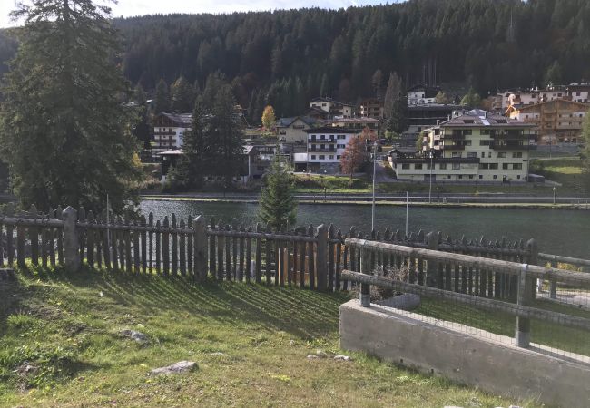 silvana-132-lake-garden-apartment-rent-Myhome-dolomiti Holiday-apartment-rent-Madonna-di-Campiglio-Myhome-Dolomiti