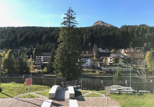 silvana-132-access-residence-apartment-rent-Myhome-dolomiti Holiday-apartment-rent-Madonna-di-Campiglio-Myhome-Dolomiti