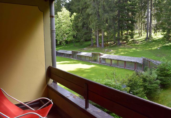 silvana-132-balcony-apartment-rent-Myhome-dolomiti Holiday-apartment-rent-Madonna-di-Campiglio-Myhome-Dolomiti