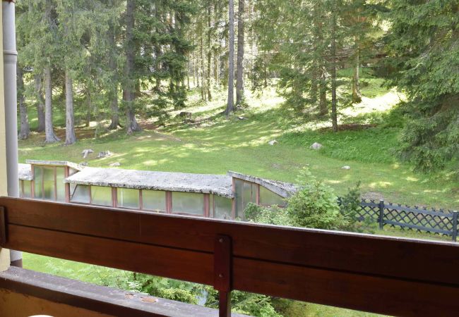 silvana-132-terrace-apartment-rent-Myhome-dolomiti Holiday-apartment-rent-Madonna-di-Campiglio-Myhome-Dolomiti