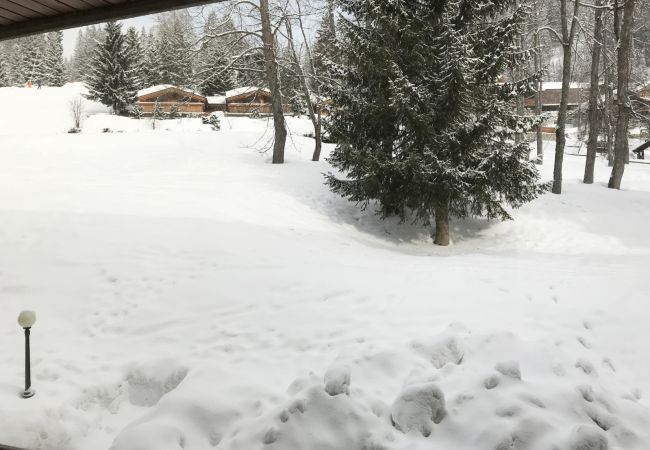 Apartment in Madonna di Campiglio - RAINALTER CENTRALE 06 Apartment in Madonna di Campiglio - RAINALTER CENTRALE 06