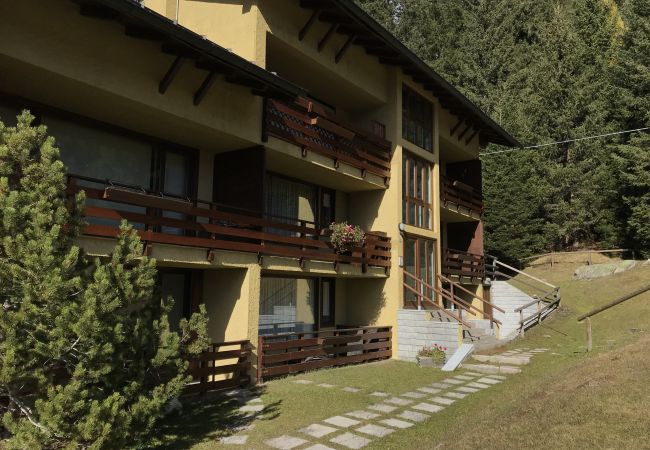 Apartment in Madonna di Campiglio - NAMBINO APARTMENT Apartment in Madonna di Campiglio - NAMBINO APARTMENT
