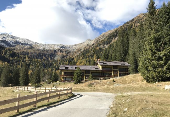 Apartment in Madonna di Campiglio - NAMBINO APARTMENT Apartment in Madonna di Campiglio - NAMBINO APARTMENT