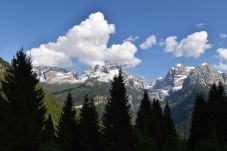 Apartment in Madonna di Campiglio - Genziana Apartment MhD