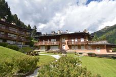 Apartment in Madonna di Campiglio - Presanella Home 3 MhD
