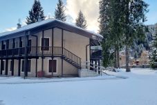 Apartment in Madonna di Campiglio - Central Park Duplex Apartment MhD