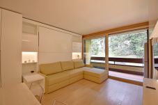 Studio in Madonna di Campiglio - Silvana Apine Studio 131 MhD