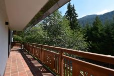 Apartment in Madonna di Campiglio - CROZZON view Apartment MhD