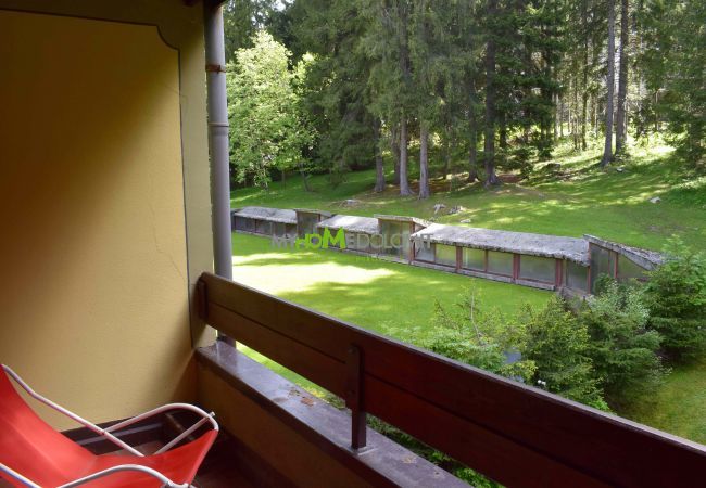 silvana-132-balcony-apartment-rent-Myhome-dolomiti Holiday-apartment-rent-Madonna-di-Campiglio-Myhome-Dolomiti