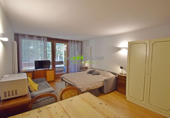 Studio in Madonna di Campiglio - SILVANA 132 Studio MhD Studio in Madonna di Campiglio - SILVANA 132 Studio MhD