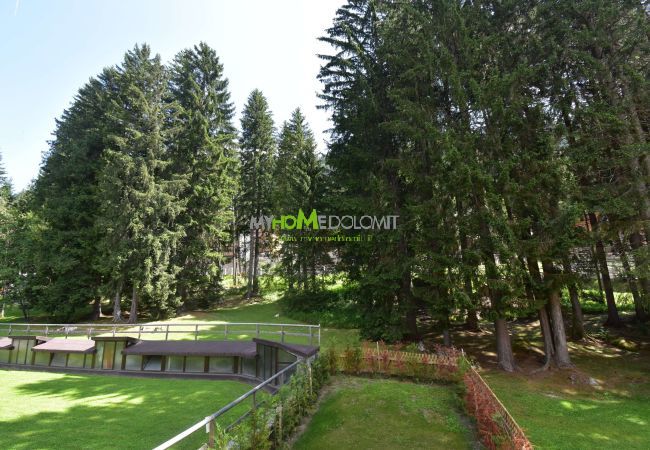 Studio in Madonna di Campiglio - SILVANA 132 Studio MhD Studio in Madonna di Campiglio - SILVANA 132 Studio MhD