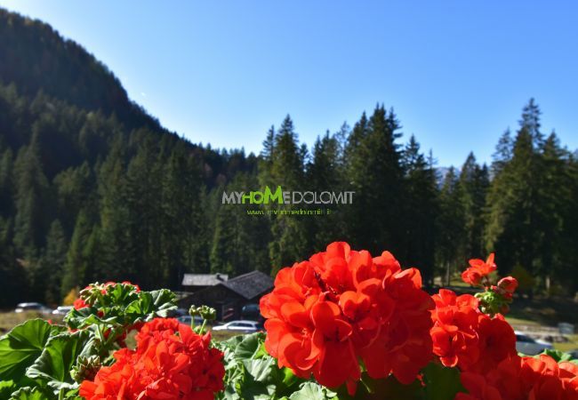 Chalet in Madonna di Campiglio - CHALET BRENTA DOLOMITES Chalet in Madonna di Campiglio - CHALET BRENTA DOLOMITES