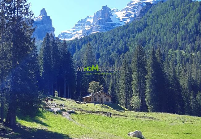 Chalet in Madonna di Campiglio - CHALET BRENTA DOLOMITES Chalet in Madonna di Campiglio - CHALET BRENTA DOLOMITES