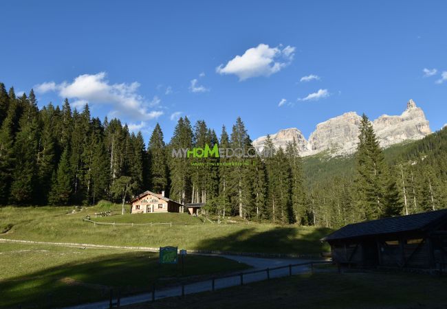 Chalet in Madonna di Campiglio - CHALET BRENTA DOLOMITES Chalet in Madonna di Campiglio - CHALET BRENTA DOLOMITES