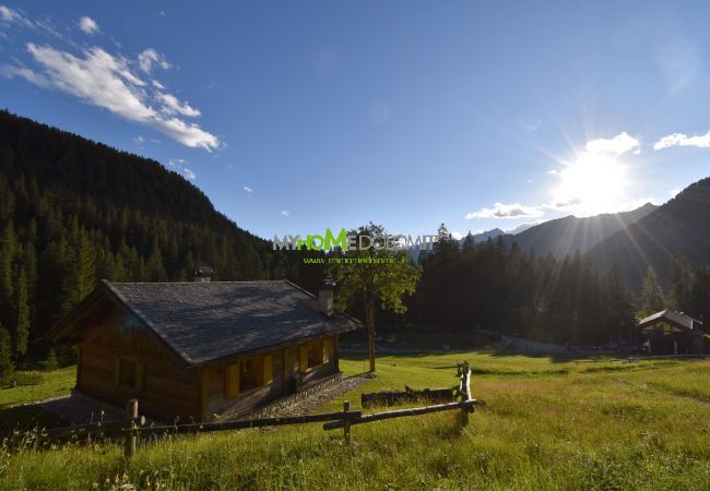 Chalet in Madonna di Campiglio - CHALET BRENTA DOLOMITES Chalet in Madonna di Campiglio - CHALET BRENTA DOLOMITES