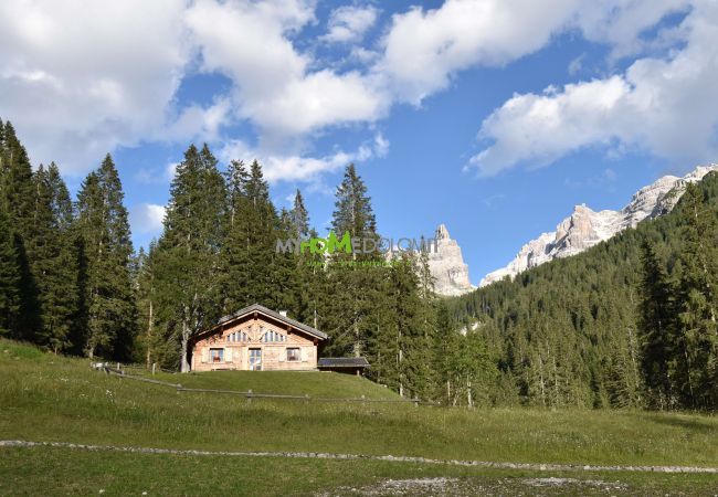 Chalet in Madonna di Campiglio - CHALET BRENTA DOLOMITES Chalet in Madonna di Campiglio - CHALET BRENTA DOLOMITES