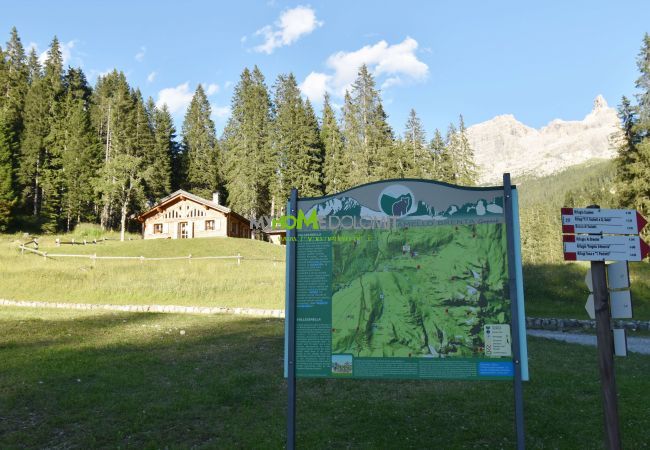 Chalet in Madonna di Campiglio - CHALET BRENTA DOLOMITES Chalet in Madonna di Campiglio - CHALET BRENTA DOLOMITES