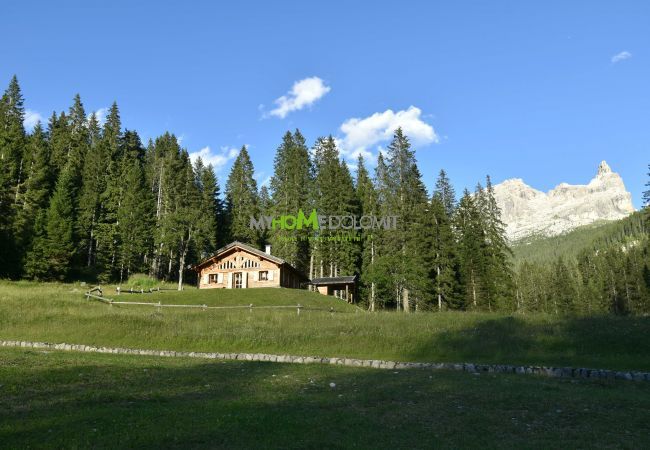 Chalet in Madonna di Campiglio - CHALET BRENTA DOLOMITES Chalet in Madonna di Campiglio - CHALET BRENTA DOLOMITES