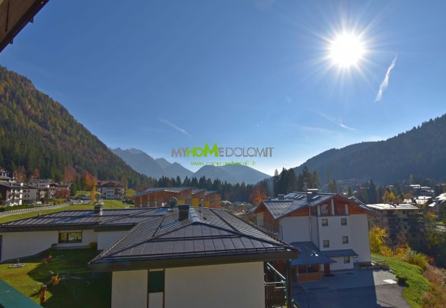 Nardis 205 holiday apartment in Campiglio - balcony Nardis 205 holiday apartment in Campiglio - balcony