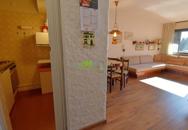 Nardis 205 holiday apartment in Campiglio - interior Nardis 205 holiday apartment in Campiglio - interior