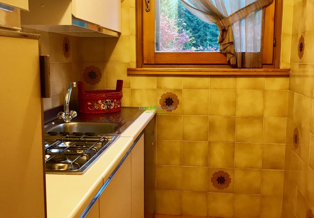 miralago-04-kitchen-apartment-rent-Myhome-dolomiti Holiday-apartment-rent-Madonna-di-Campiglio-Myhome-Dolomiti